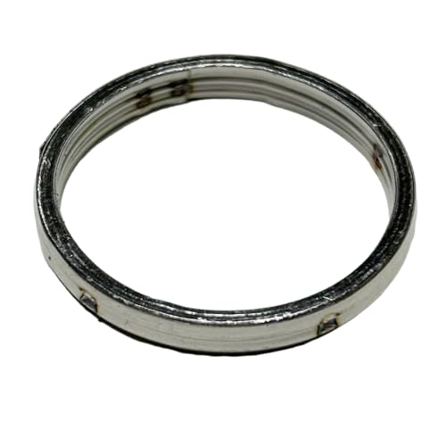 ALBA Exhaust Muffler Gasket Skywave 250 and others Suzuki series