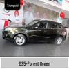 Ivory White and Bright Moon Gray Touch-Up Paint Pen for GAC Trumpchi GS5 - Scratch Repair Solution
