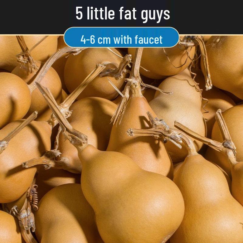 Biao Yun Dragon Head Gourd Handheld Ornament - Miniature Wenwan Collection Piece