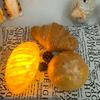 Indoor Night Lights Ornament Bread Shaped Warm Light Creative Simulation Bread Light Battery Operated for Baking Room Cake Store