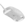 Endgame Gear OP1 RGB Wired Gaming Mouse (White Frost)