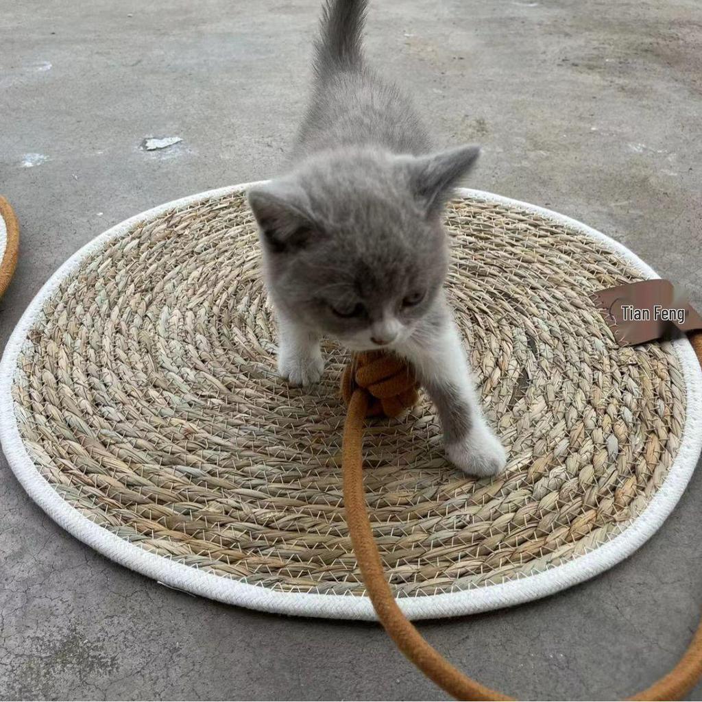 Wear-Resistant Woven Cat Scratching Mat with Self-Entertainment Ball, Cooling Mat, and Sleeping Area