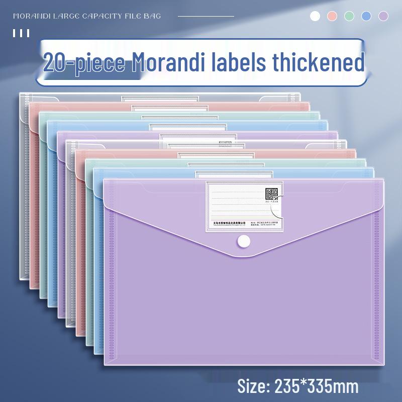 Transparent Large Capacity Snap Button File Bag for Students