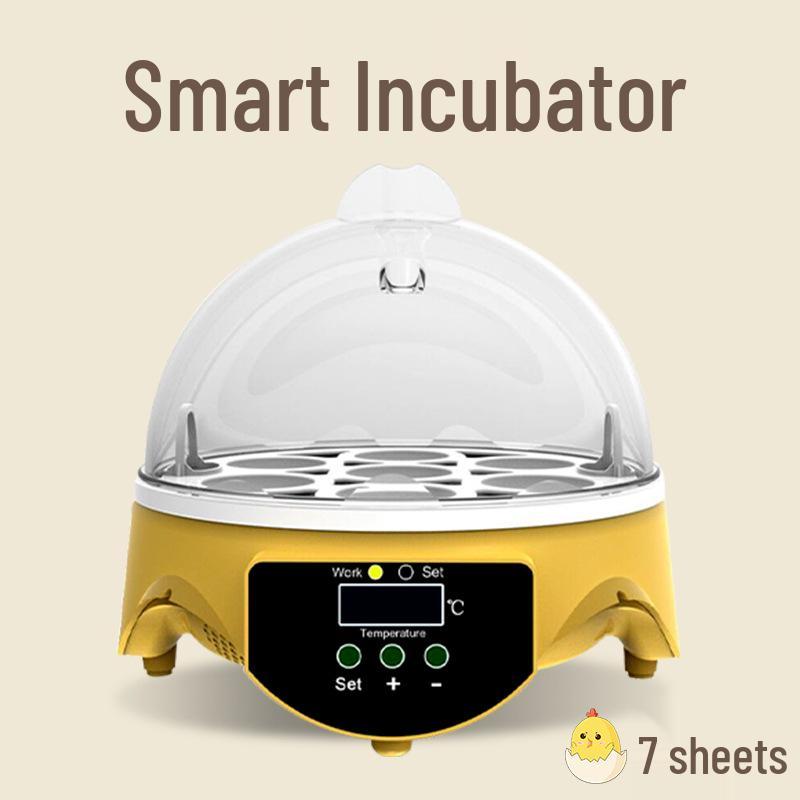 

Smart Mini Quail Egg Incubator for Small Breeding EU Standard 220V