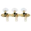 Kikutani Guitar Tuning for Nylon Set and Pegs, 35mm, Strings, Three-Piece (Left Right), Gold, GM-35SG