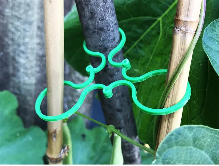 50/100 Garden Vine Strapping Clips Plant Bundled Buckle Ring Holder Tomato Garden Plant Stand Tool Garden Decoration Accessories