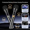 SAST SA-501MAX All-in-One Portable KTV Karaoke Speaker with Screen CN plug (adapter included)