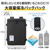 Thermos Insulated Backpack 25L Dark Gray DGY RFP-025