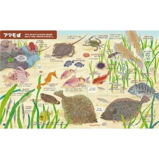 Sea (with English) (Shogakukans Encyclopedia NEO)