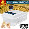 36 Eggs Chicken Chick Farm Hatcher Temperature Control for Chicken Eggs Incubator Automatic Digital Turning Incubators