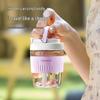 Vanow Borosilicate Glass Tumbler with Straw