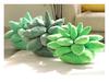 Cross-Border Succulent Plush Pillow Toy - Cute Plant Pillow for Kids