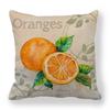 Orange Fruit In Modern Minimalist Style Digital Printing Short Plush Pillow Covers For Car Sofa Office Cushion Cover Home Goods