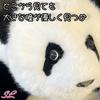 Realistic Panda Plush Toy, Perfect for Birthdays, Anniversaries, Presents, Children's Day, Healing, Smiles, Encouragement, Japanese Flowers, Fur Fur,