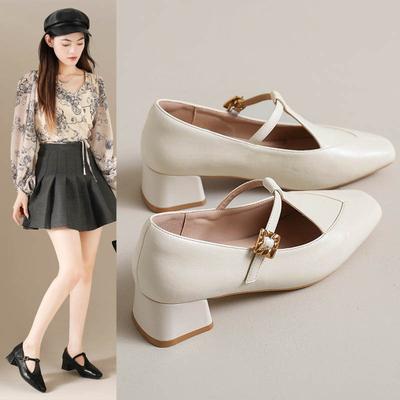 Zapatos de tacón alto Mary Jane para mujer con tacón grueso, nuevos para verano y otoño, con falda, zapatos de cuero pequeños de una sola pieza