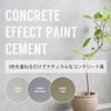 You Can Create a Natural Concrete Look Just by Painting Concrete Effect Paint [Cement Set] (Smooth Set) 1kg+50g+50g Takara Paints