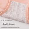 Women's Plus Size Cotton Tummy Control Hip Lift Briefs