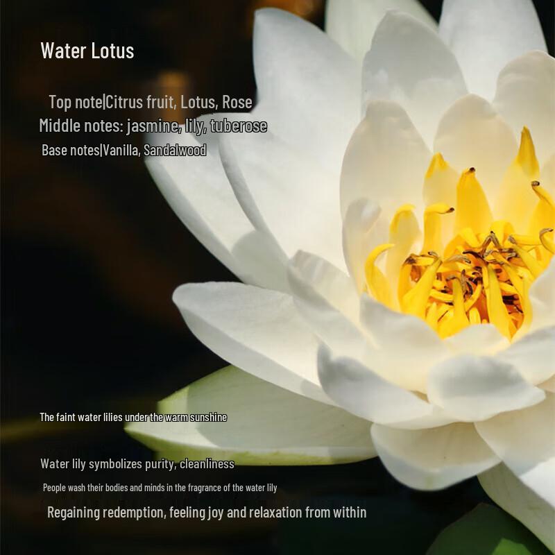 Tesorid'Oriente Water Lotus Scent Body Lotion