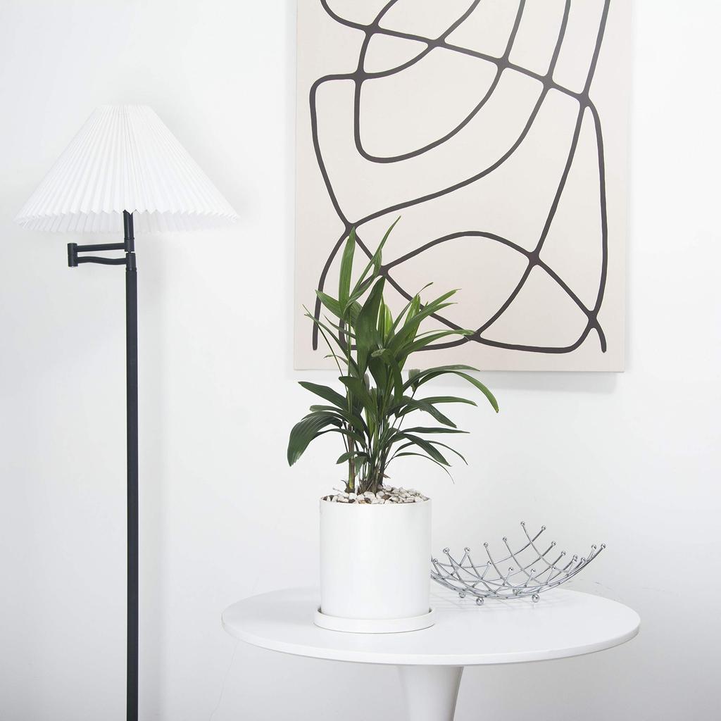 Ekirlin Flower Ceramic Saucer Drain Pure Potted Interior Pot, Pot, White, Stylish, Included, Hole, 15.7cm, No. 6, Color, Houseplant, Pot, Planter,