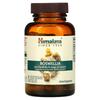 Boswellia, 60 Vegetarian Capsules (125 Mg Per Capsule)