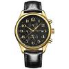 Dropshipping Carnival Stainless Steel Automatic Mechanical Watch 30M Water Resistant Men's Business Fashionable Multi-Function