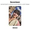Seventeen SEVENTEENTH HEAVEN KPOP MERCH LUCKY DRAW Official Photocard