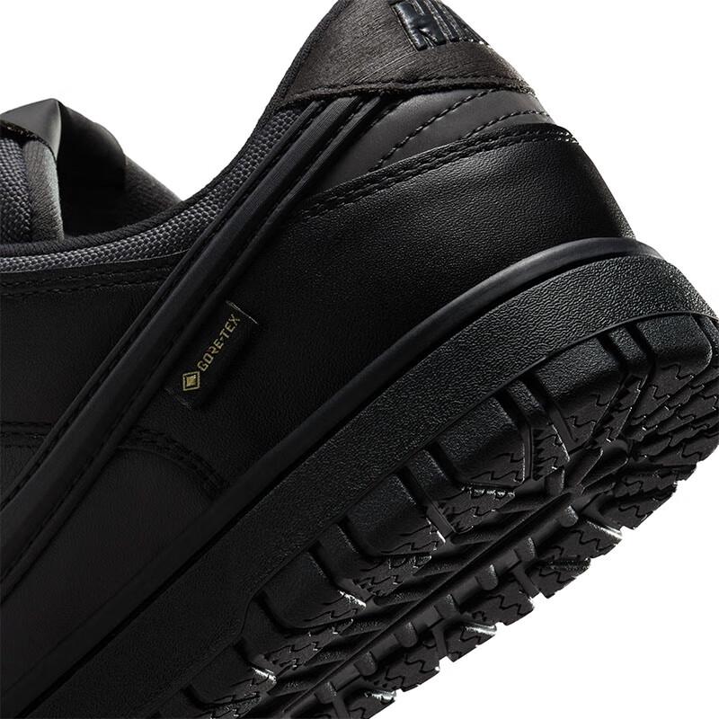 Nike Dunk Casual Skate Shoes
