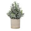 Artificial Potted Plants: Indoor Decor & Simulated Greenery