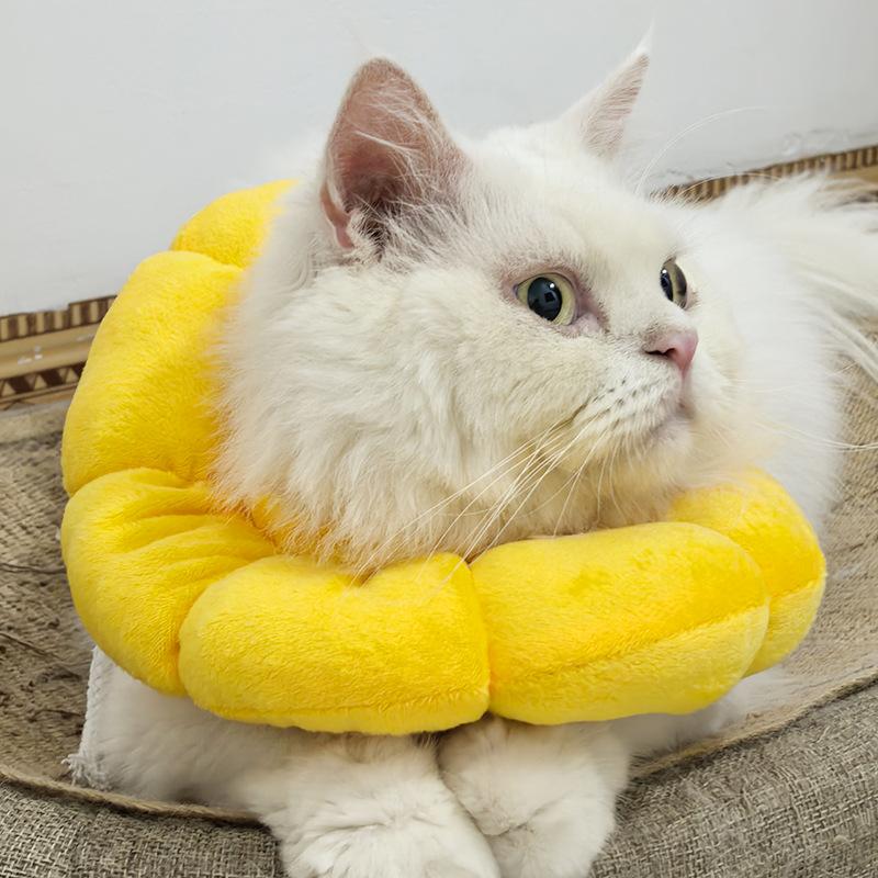 A White Cotton Collar for Cats To Prevent Them From Breaking Free, A Soft and Delicate Collar for Young Cats