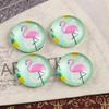 New Fashion  20pcs 12mm Clock Animal Flower Handmade Photo Glass Cabochons Pattern Domed Jewelry Accessories Supplies
