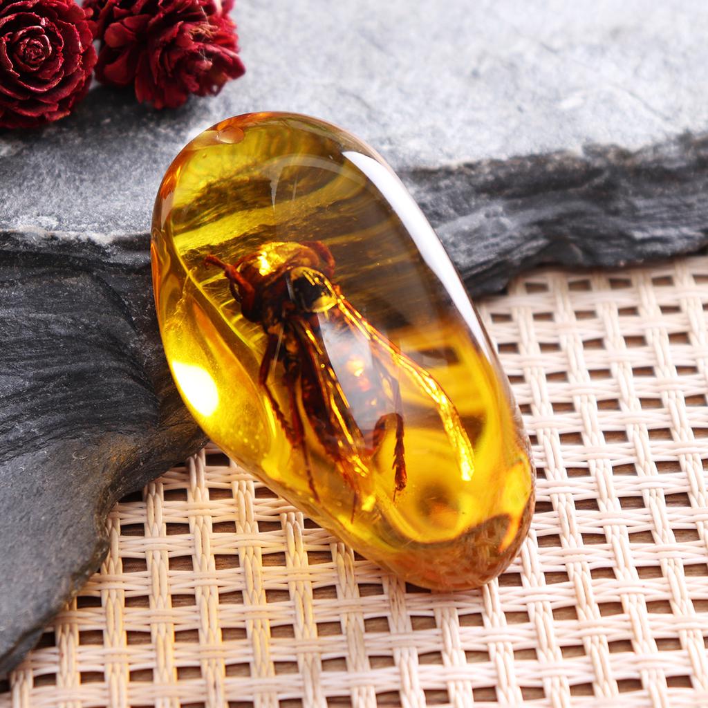 Genuine Amber Beetle Fossil - Manually Polished, Natural Inclusion Insect Specimen