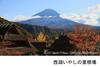 Symphony Forest 100 Views of Fuji Enjoy the of in HD HD The Best and Most Beautiful Moment Blu-ray Mt. "Best Mt. Fuji" Mt.Fuji - (Blu-ray Disc)
