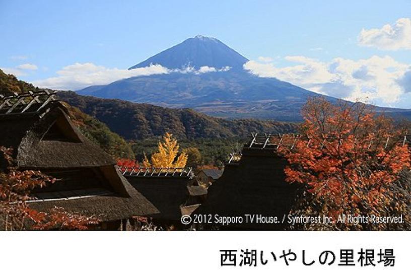 Symphony Forest 100 Views of Fuji Enjoy the of in HD HD The Best and Most Beautiful Moment Blu-ray Mt. "Best Mt. Fuji" Mt.Fuji - (Blu-ray Disc)