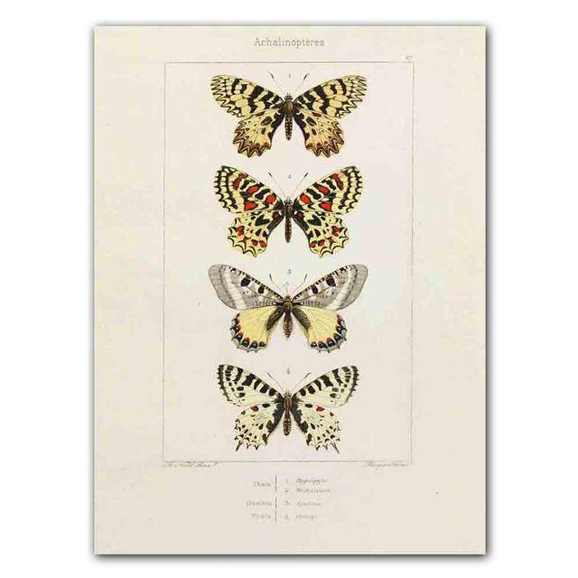 Nordic RETRO Art Canvas Painting Butterfly Insect Evolution Poster Living Room Corridor Wall Painting Home Decoration Mural No Frame