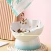 Slanted Dog Food Bowl High Foot Pet Drinking Bowl Snack Bowls Ceramic Cat Bowl  For Cats Dogs