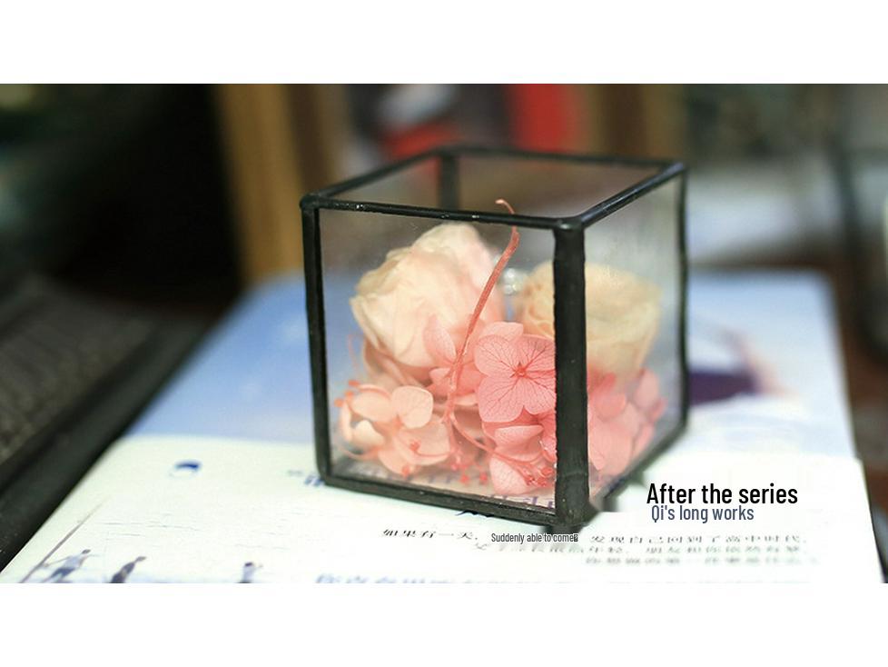 Square Transparent Glass Jewelry Box - Ring, Ear Stud, Earring, and Necklace Organizer