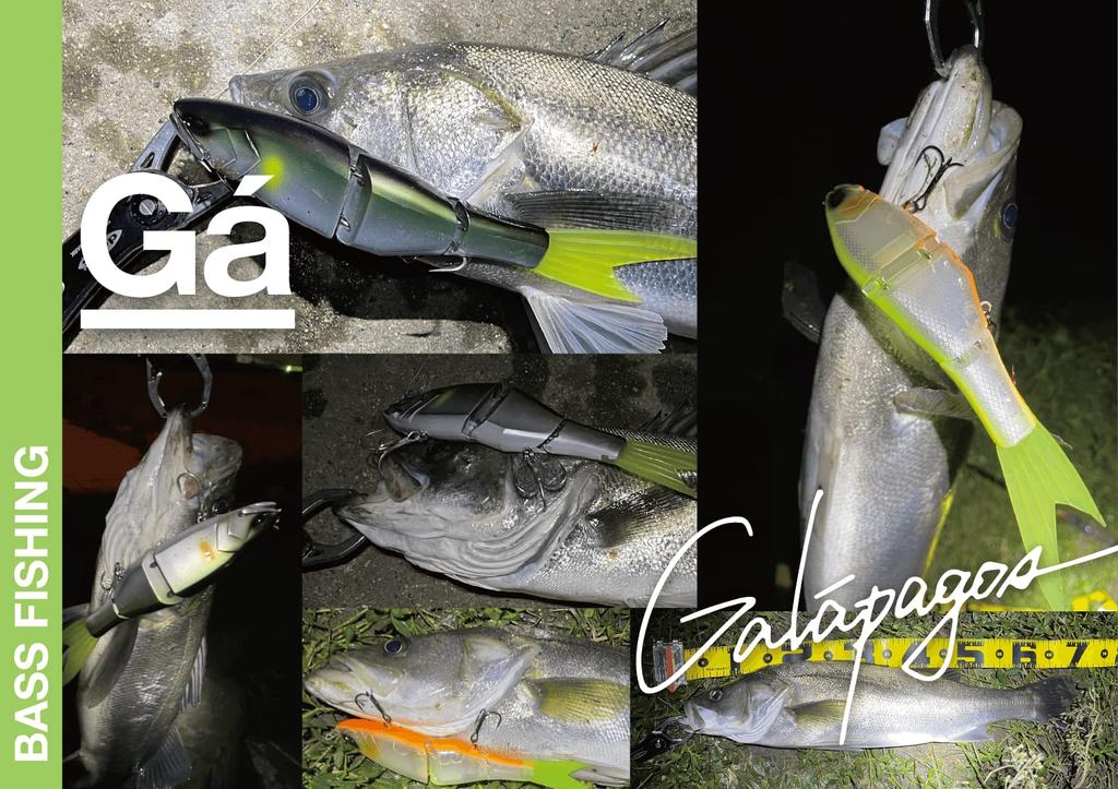 BunBun Fishing Tackle BunBun Grace Big Bait Swimbait 254F Bass Bass Lure Big Bass Galapagos Girahasu…