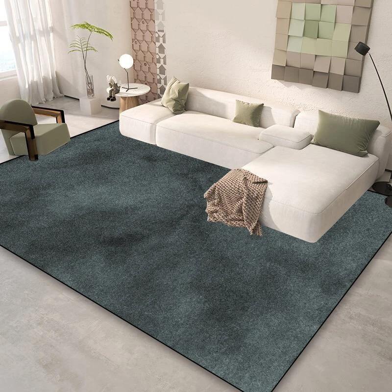 Modern Luxury Carpet Living Room Solid Color Decoration Home Sofa Area Large Rugs Bathroom Cloakroom Non-slip Entrance Door Mats