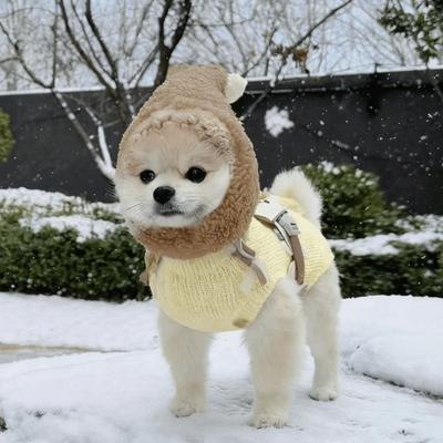 Oblečky a obuv – Čepice pro psy