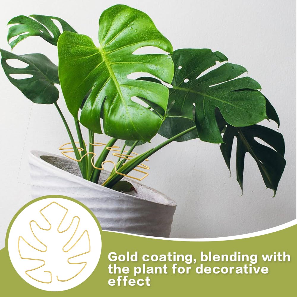6Pcs Monstera Plant Support Monstera Stabilizer Grapple Holder Monstera Shaped Supports Stem Support Ring for Thriving Growth