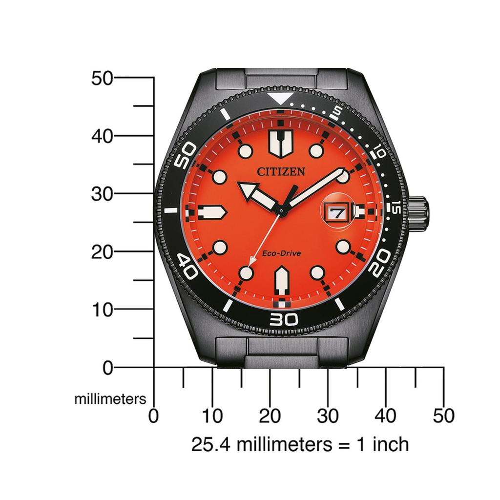Citizen Black Wristwatch AW1765-88X