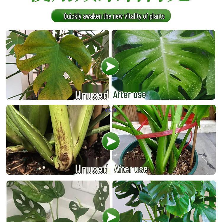 Monstera Foliar Spray: No-Dilution Nutrient Solution for Hydroponics, Rust Spots & Yellow Leaves Treatment