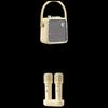 Dianyin SongBird-SE Bluetooth Karaoke Speaker CN Plug (adapter Included)