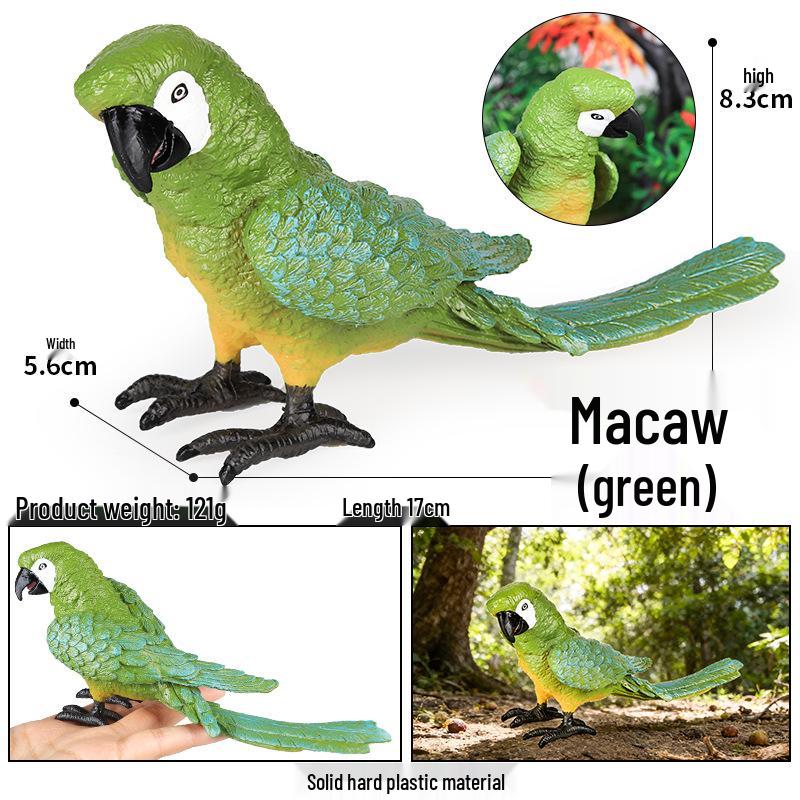 Wild Animal Simulation: Flying Parrot & Peacock Model Toy Ornament for Kids