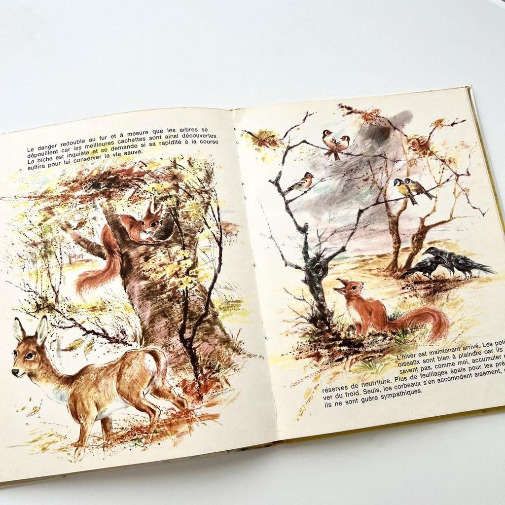 [USED] Maurice Boulanger's Children's Book, Vintage