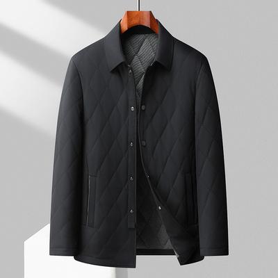 Mulberry Silk Cotton-padded Clothes Winter New Men's Business Lapel Warm Casual Cotton-padded Clothes Middle-aged Dad Padded Jacket
