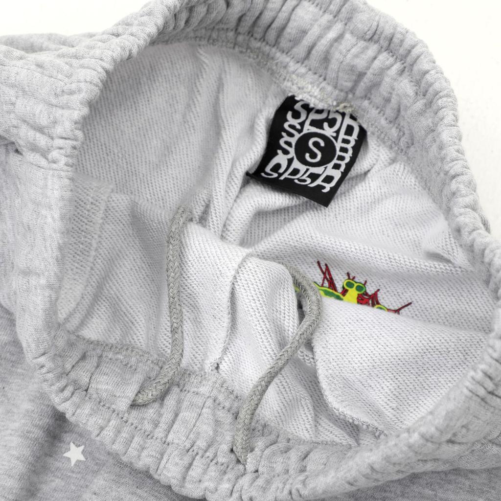 Cross-border American Trend SP5DER Spider Web Heavyweight Terry Cotton Hooded Sweatshirt for Men and Women