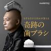 Miracle Toothbrush [Futsuu] Clear Black 3-Pack for Adults