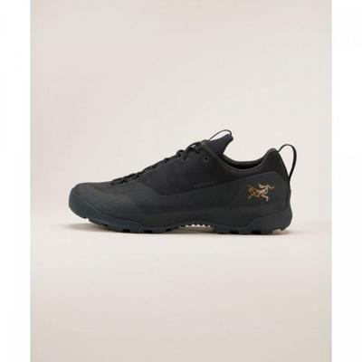 Arcteryx Men S Conceal Gtx Black afqSm09833