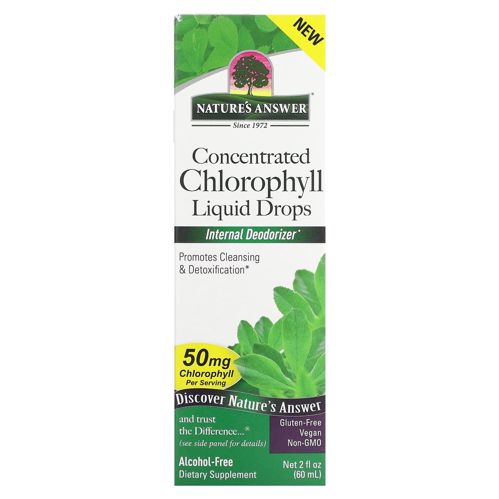 

Nature S Answer, Concentrated Chlorophyll Liquid Drops, 50Mg, 60Ml(2Fl Oz)